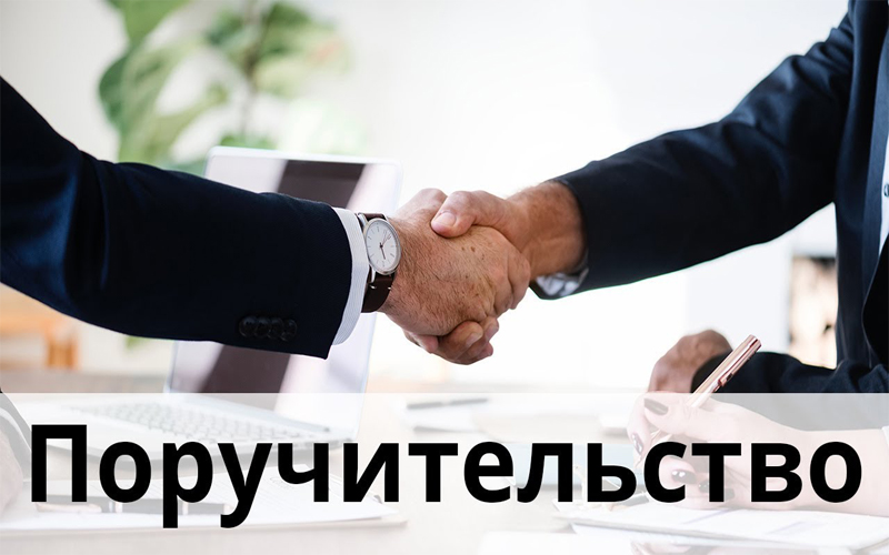 Гарантийный фонд Ставрополья выдал бизнесу поручительств на рекордные 2,5 млрд рублей.