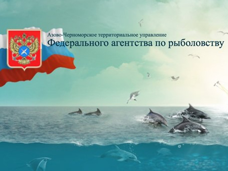 Основные правила рыболовства для Азово-Черноморского рыбохозяйственного бассейна.