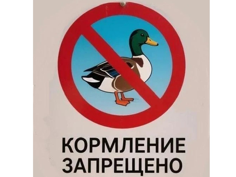 Администрация города призывает жителей и гостей Ессентуков соблюдать правила в парке «Городское озеро».