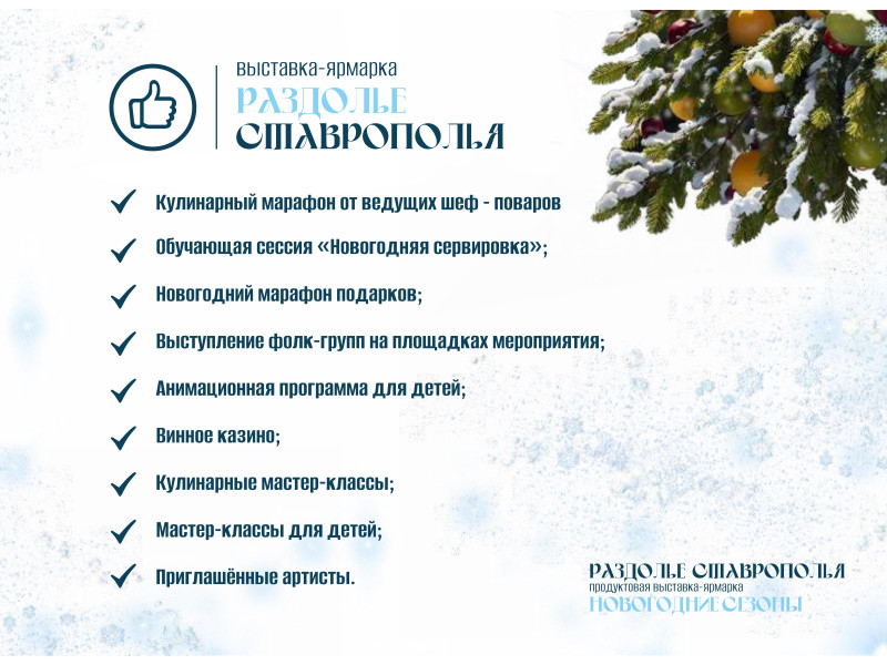 В выставочном центре «МинводыЭкспо» пройдет выставка-ярмарка продовольственных товаров «Раздолье Ставрополья. Новогодние сезоны».